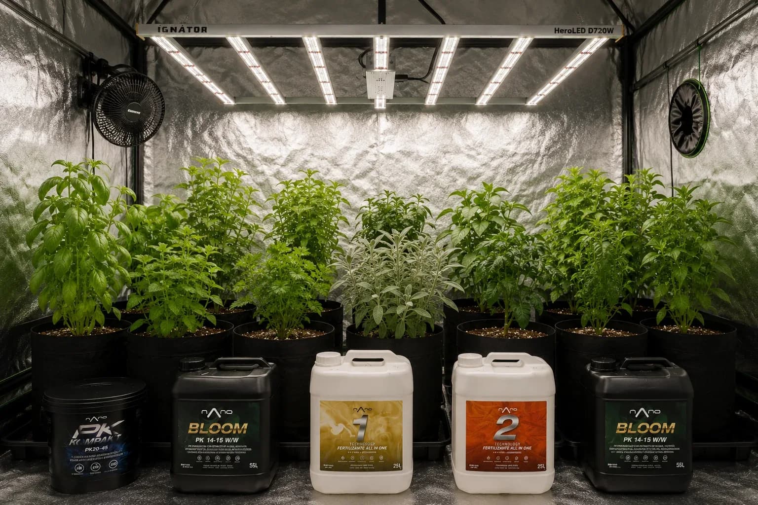 Nutrition en floraison : comment faire grossir les fleurs sans brûler la plante
